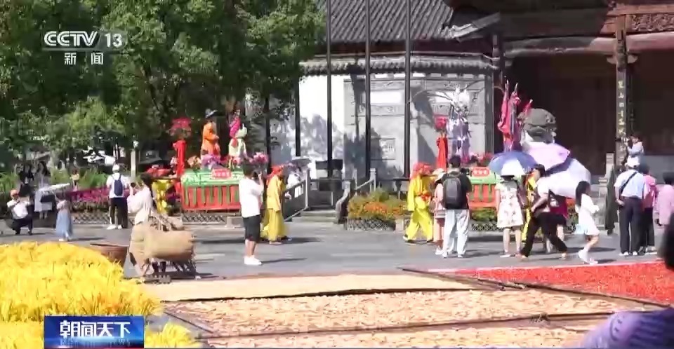 白菜领取大全导航